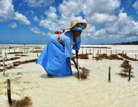 Zanzibar au féminin