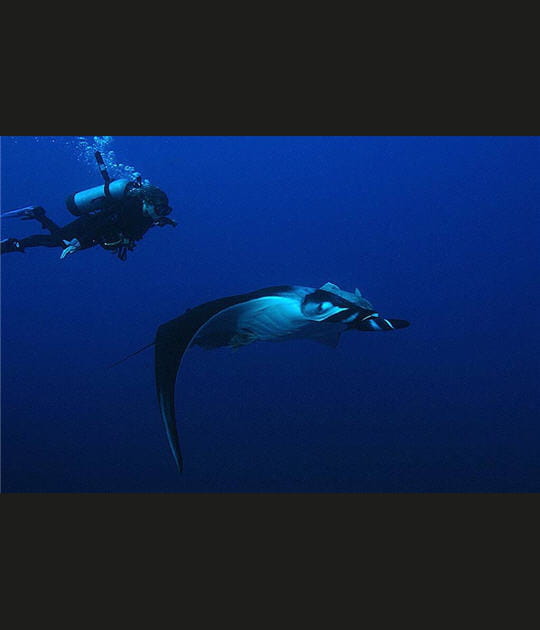 Ronde de s&eacute;duction