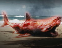Atomic Shark