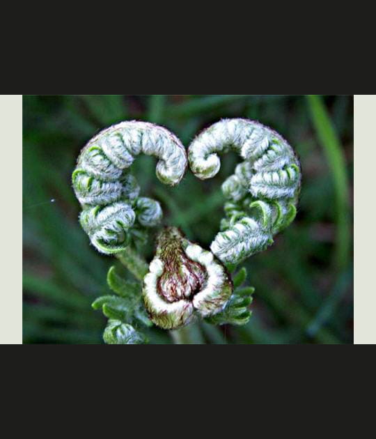 Quand la nature nous dit qu'elle nous aime