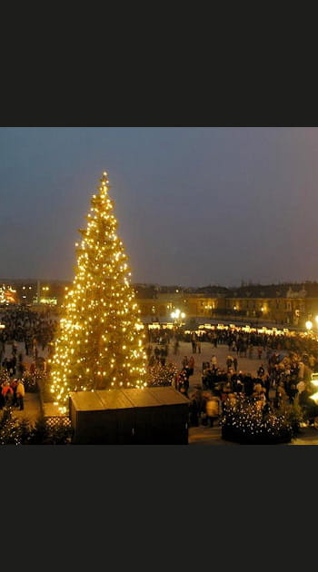 Vienne