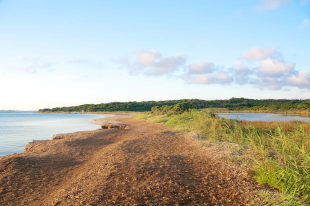 L'ïle de Piana au large de Bonifacio