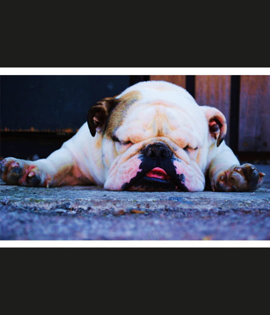 Il fait trop chaud pour travailler