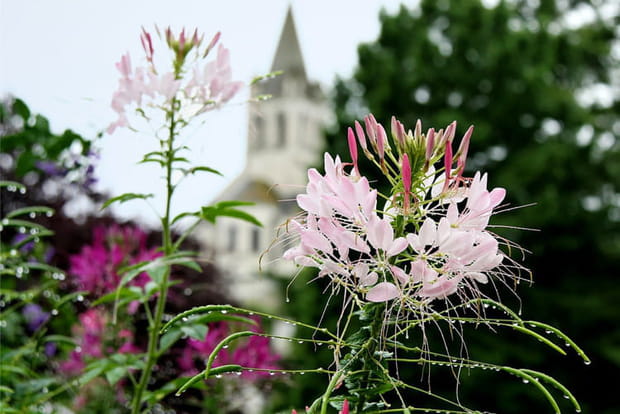 Loches, ville d'art et d'histoire en Indre-et-Loire