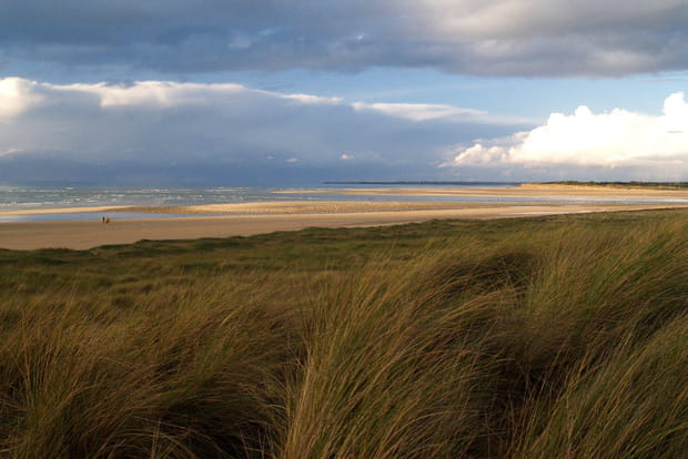 Dans les prés salés de la Vanlée