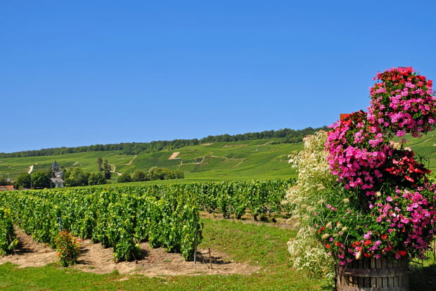 Oger, discrète commune au sud de Reims
