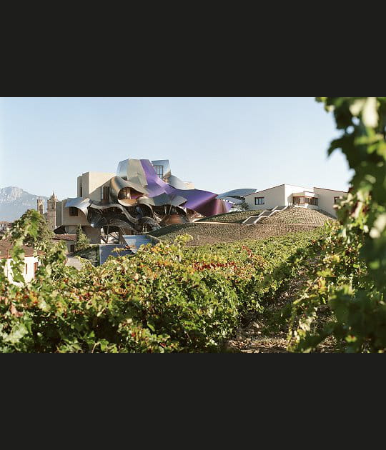 Un ovni dans les vignes