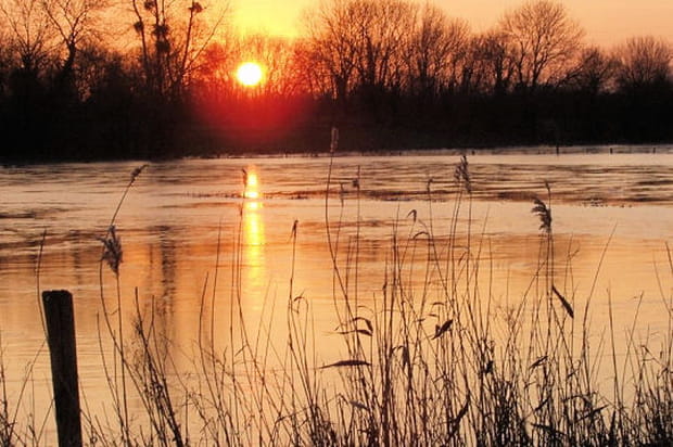 Le marais du Contentin