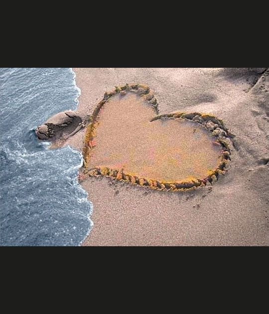 Amour &eacute;chou&eacute; sur la plage