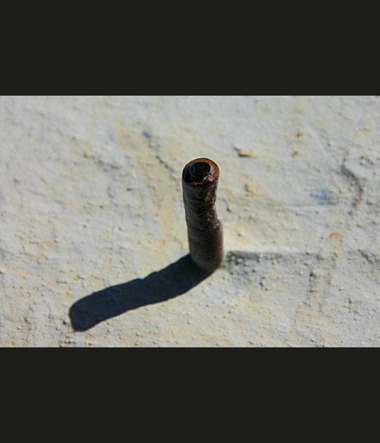 Fossile de bout de bois