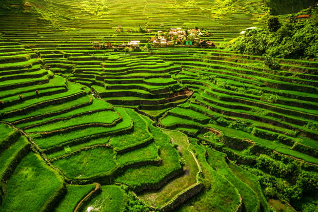 Les rizières de Banaue