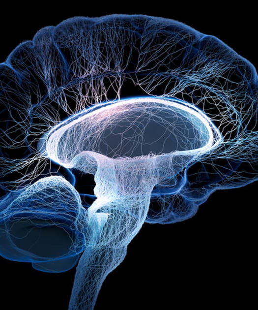Hypnose et programmation neuro-linguistique (PNL)&nbsp;?