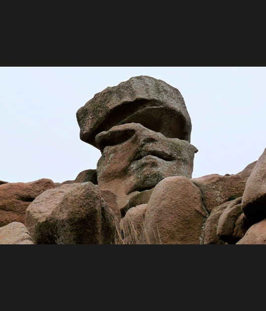 Fig&eacute; dans la roche