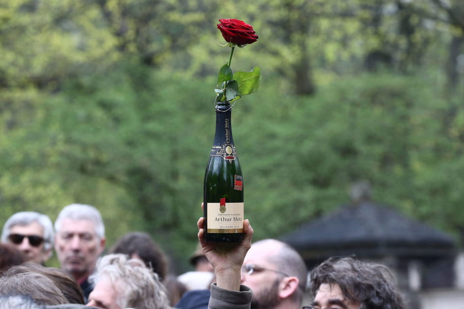 Bouteille et rose pour Higelin