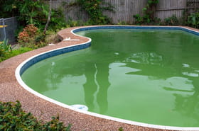 L'eau de votre piscine est devenue verte&nbsp;? Ce produit que l'on a tous est infaillible, il fallait y penser