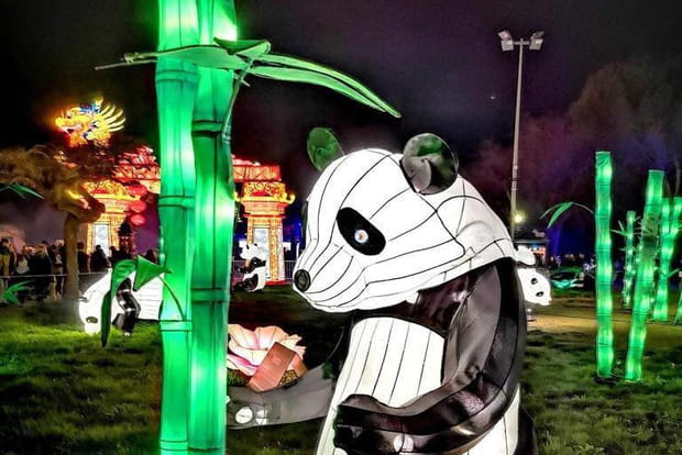 L'Odyssée Lumineuse fait escale à Montpellier cet hiver