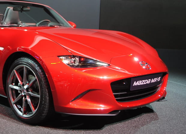 Une imposante calandre