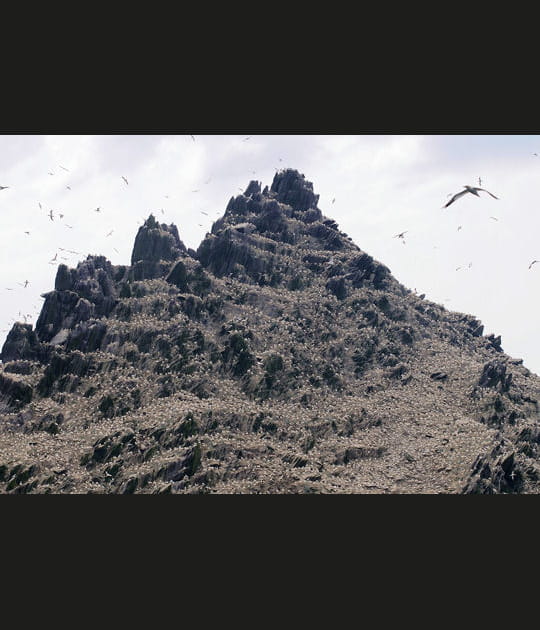 Skellig Michael&nbsp;: l'&icirc;le noire