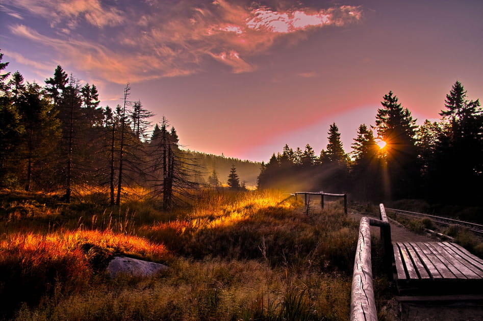 Le Parc national du Harz