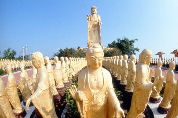 Entre tradition et modernité