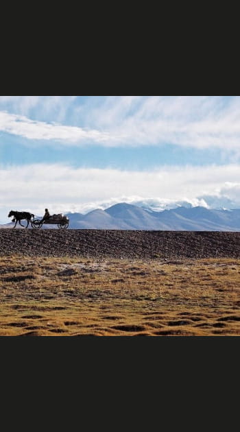 Le&nbsp;plateau&nbsp;le&nbsp;haut&nbsp;:&nbsp;le&nbsp;plateau&nbsp;tib&eacute;tain