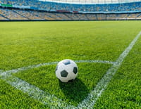Football : Euro - Turquie / Italie