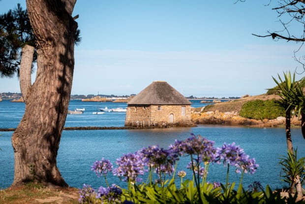 Bréhat, une île fleurie sans voitures