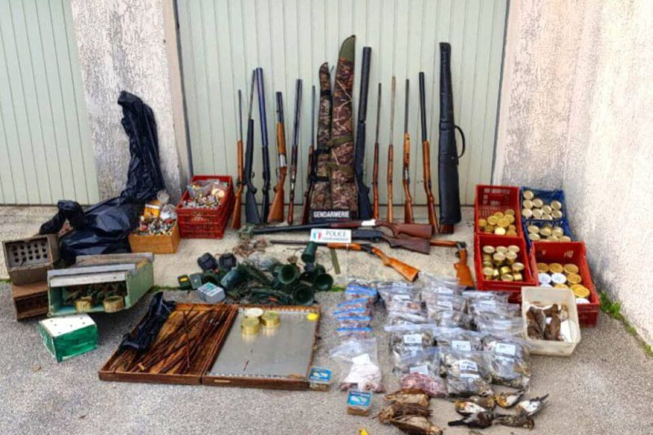 Var. Un chasseur avait chez lui 60 animaux vivants, la police fait d'autres découvertes invraisemblables
