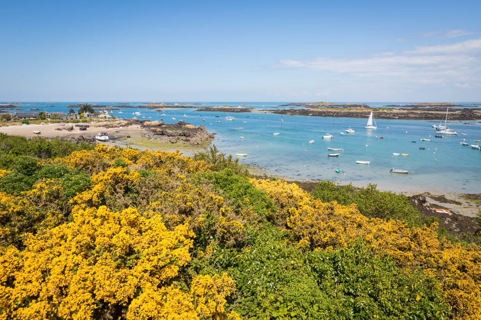 Les &icirc;les Chausey, une &eacute;claircie dans la Manche
