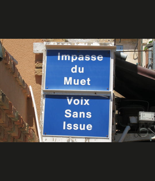 La voie du muet