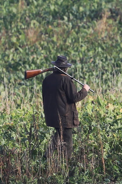 Les accidents de chasse li&eacute;s &agrave; l'alcool&nbsp;?