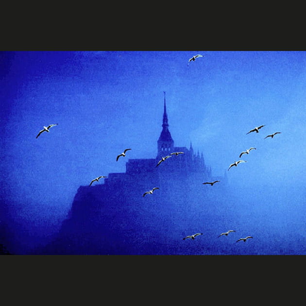 Mont Saint-Michel aux oiseaux