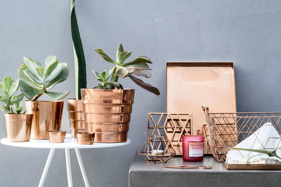 Des jolis pots pour les plantes vertes