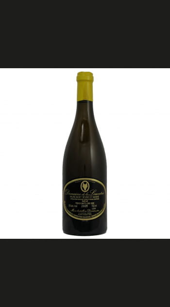 Cuv&eacute;e haute tradition 2005&nbsp;- Blanc - Muscadet S&egrave;vre et Maine