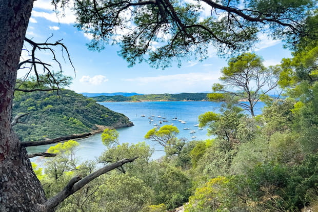 Port-Cros la sauvage