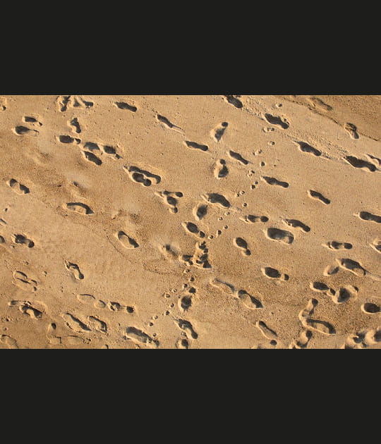 Traces