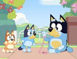 Bluey