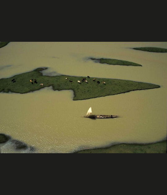 Les tonalit&eacute;s vertes du fleuve Niger