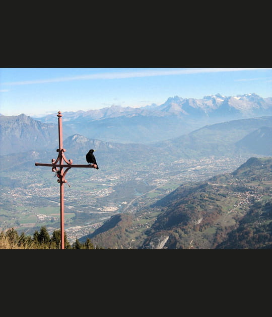 Le chocard et la montagne