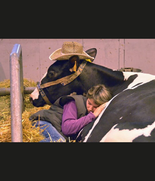 Sieste improvis&eacute;e