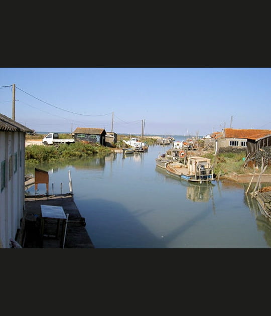 Marennes-Ol&eacute;ron