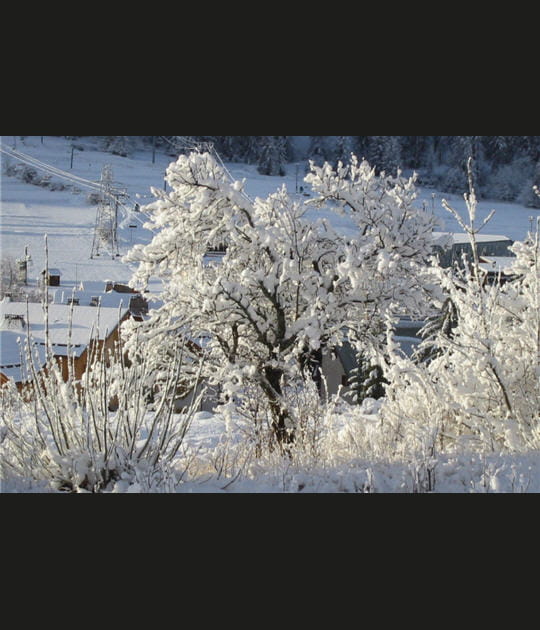 Aire glaciaire