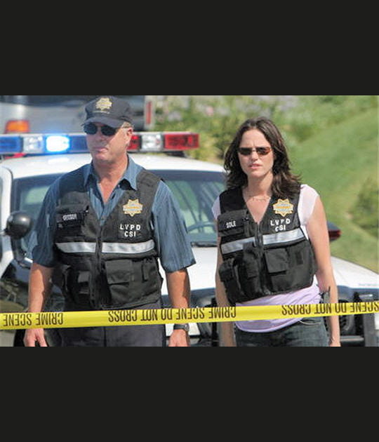 2e couple qui se cherche encore&nbsp;: Sara Sidle et Gil Grissom