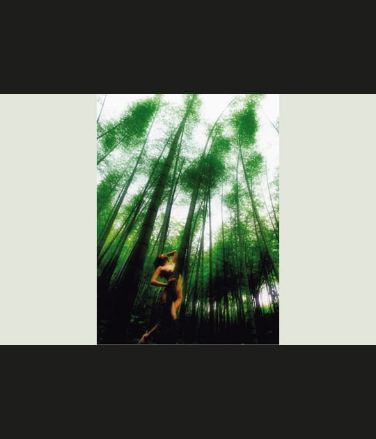 &quot;Peuples et for&ecirc;t&quot;, collectif d'amateurs