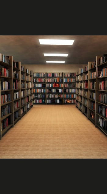29e&nbsp;: Sciences de l'&eacute;ducation