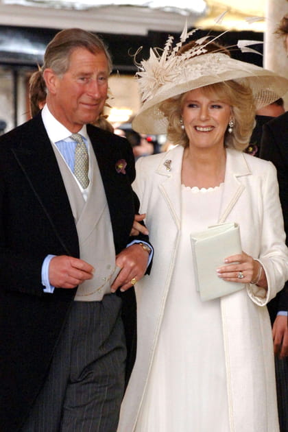 Harry et Willy se sont&nbsp;oppos&eacute;s&nbsp;au remariage de leur p&egrave;re avec la &quot;vilaine&quot; Camilla