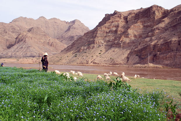 Le fleuve jaune et les montagnes