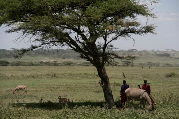 Près d'un village Masaï