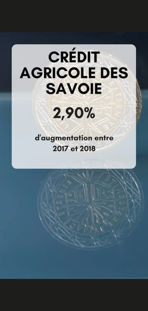 17. Cr&eacute;dit Agricole des Savoie