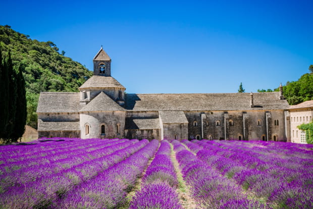 L'Abbaye Notre-Dame de Sénanque, un joyau de Provence au cœur des lavandes